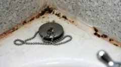 Ako sa zbaviť plesní v kúpeľni